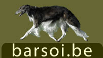 www.barsoi.be - www.borzoi.be