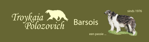 Troykaia Polozoivch Barsoi’s…een passie…sinds 1976